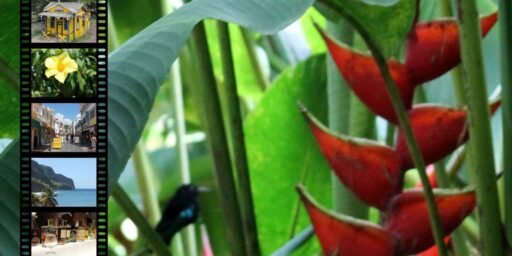 J&rsquo;ai publié la version anglaise de l&rsquo;e-Guide de rêve Martinique