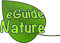 eGuide Nature - Cristina Rebière & Olivier Rebière