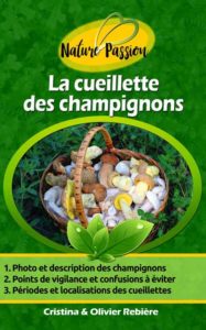 La cueillette des champignons - Cristina Rebiere & Olivier Rebiere - OlivierRebiere.com