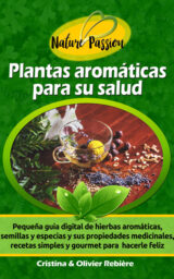 Plantas aromáticas para su salud