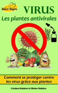Virus - les plantes antivirales
