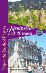 Montpellier and its region